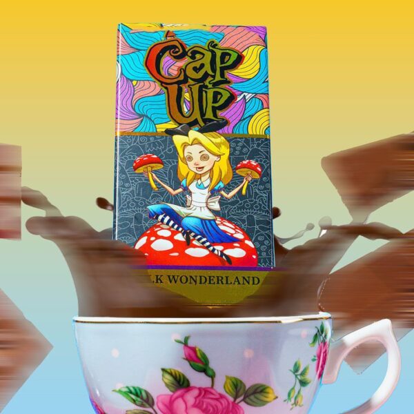 CHOCO WONDERLAND - Image 3
